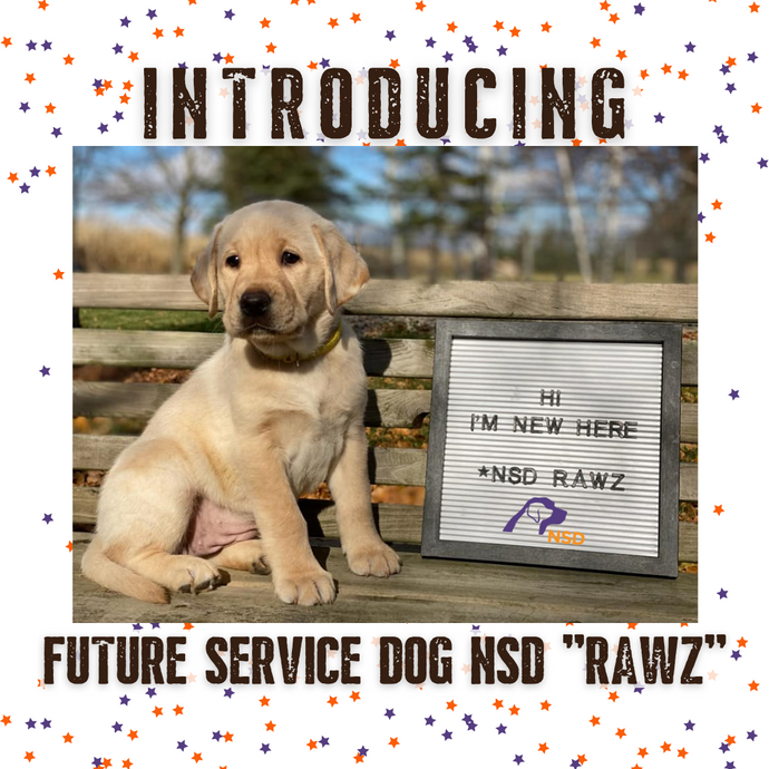 Introducing Canadian National Service Dog RAWZ!