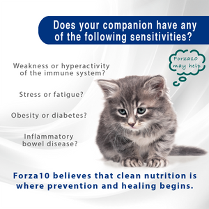 Forza10 Active Dry Cat Immuno