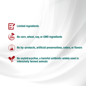 Forza10 Actiwet Dog Intestinal