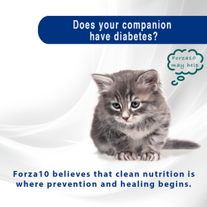 Forza10 ActiWet Cat Diabetic