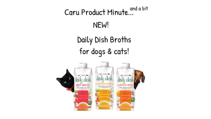 Caru Video Daily Dish Broths