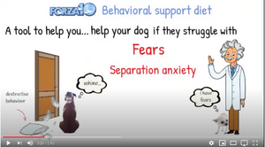 Forza Videos - Behavioral