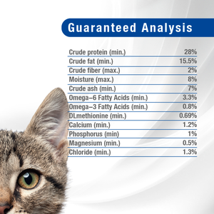 Forza10 Active Dry Cat Urinary