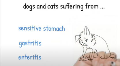 Forza Videos - Intestinal