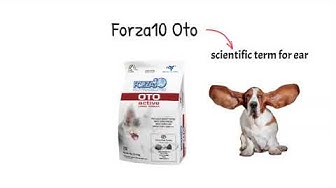 Forza Video - Oto