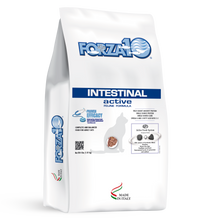 Load image into Gallery viewer, Forza10 Active Dry Cat Intestinal
