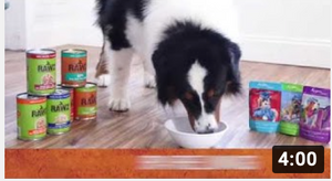 RAWZ Videos - Dog Wet Cans and Pouches