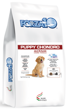 Load image into Gallery viewer, Forza10 Active Dry Dog Puppy Condro
