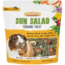 Load image into Gallery viewer, Sunseed Sun Salad Foraging Treat Guinea  Pig
