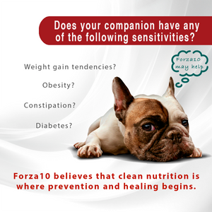 Forza10 Active Dry Dog Weight Control