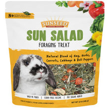 Load image into Gallery viewer, Sunseed Sun Salad Foraging Treat Rabbit
