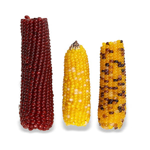 Vitakraft Mini-Pop Corn for Small Animals